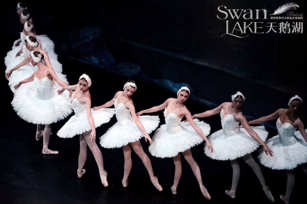 赠票！青白江即将上演经典芭蕾舞剧《天鹅湖》！