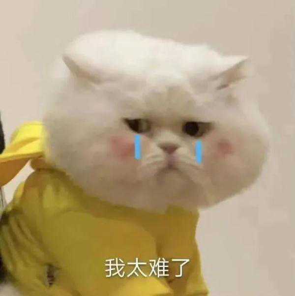 高铁票越来越难买？12306回应！抢票难、候补烦，攻略来了！