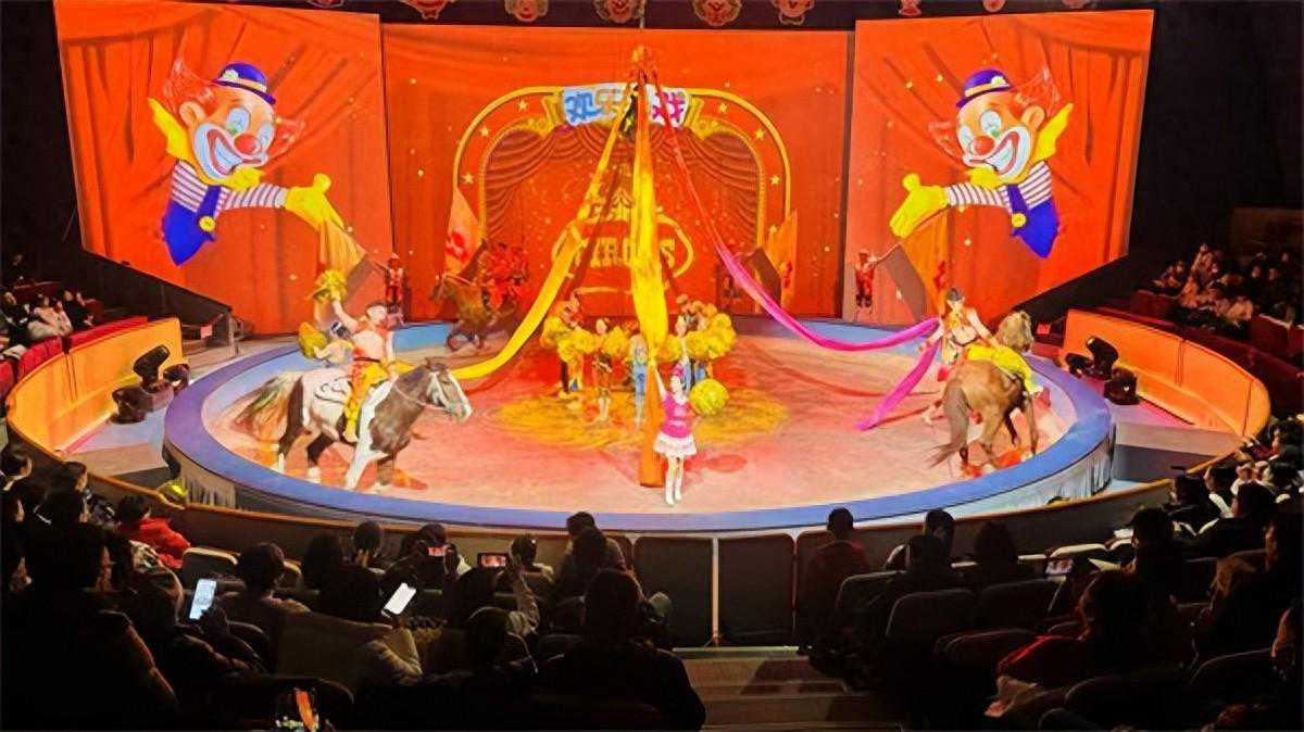 8天31场演出，上海杂技团、上海马戏城陪观众热闹过新年