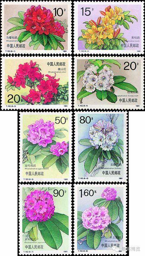 邮票辨伪 | T.162《杜鹃花》邮票的真伪鉴别