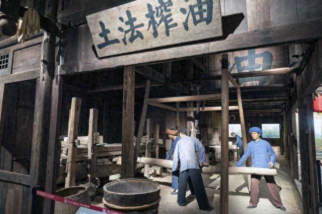 晚晴的盐票与盐课