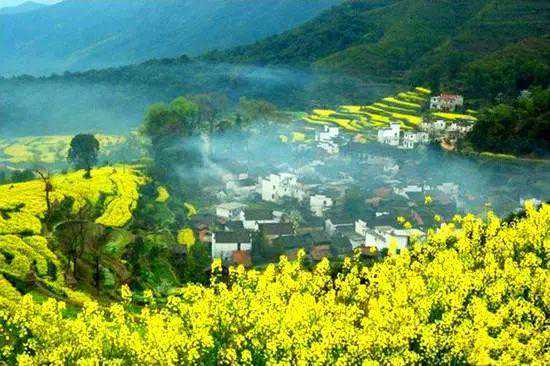 民生｜婺源赏花买不到票？不存在！武汉至黄山增开临客今起售票