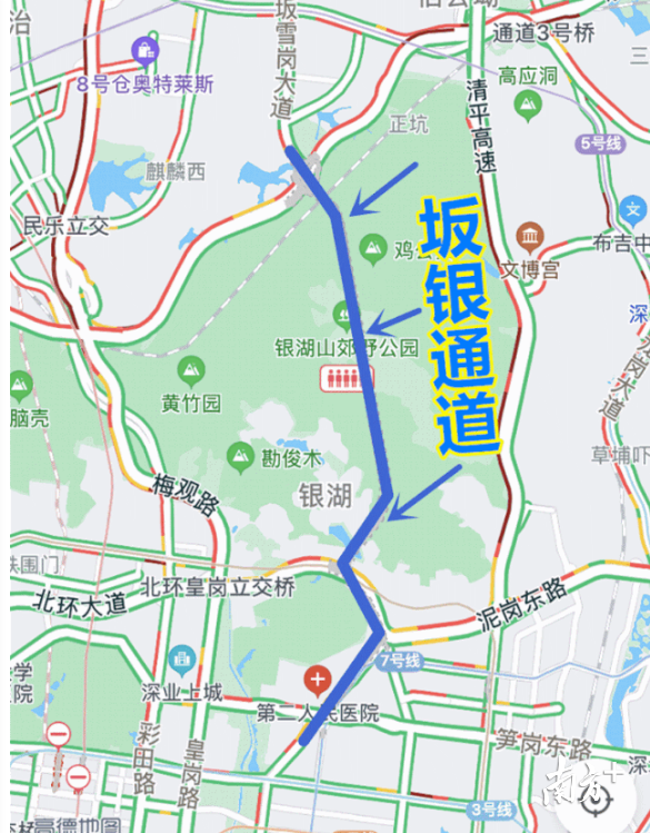 投票｜坂银通道开通，泥岗路会“鸭梨山大”吗？