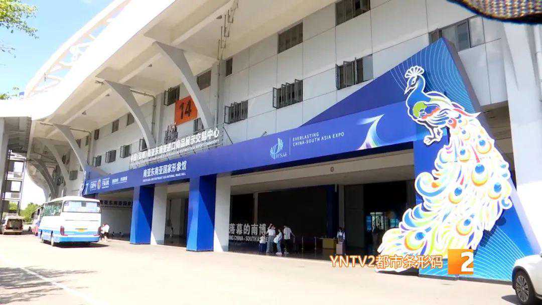 南博会观众购票通道开通！门票代金券今天开始发放，领取方式→