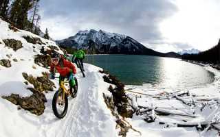 股票入门基础知识：股票什么时候开盘