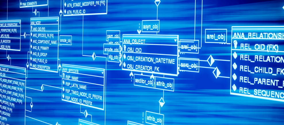 Libra、庄票、本票、地下钱庄
