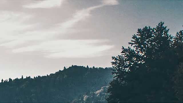 南航机票低至10-30元？客服回应：是错误代码，并非票价